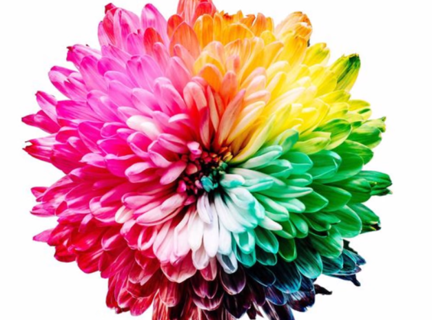 colors speech flashcards for toddler