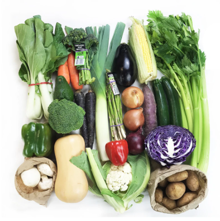 vegetable speech flashcards for toddler